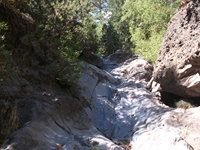 rrente Quarantore-20110911 042